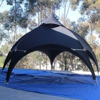 10x10 Action Tent
